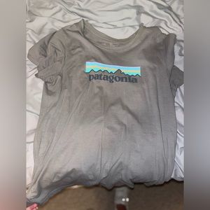 Patagonia tshirt